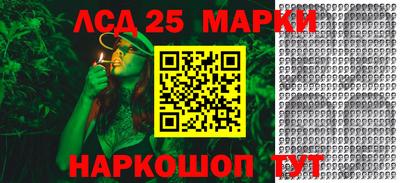 индика Ливны