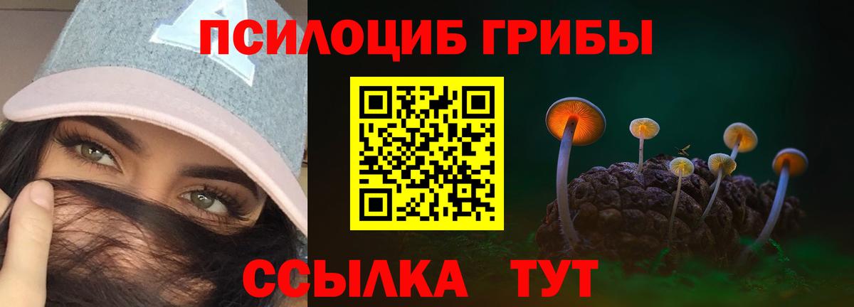 купить закладку  Вход с VPN  Галлюциногенные грибы мицелий  Гулькевичи  Псилоцибиновые грибы Psilocybine cubensis 